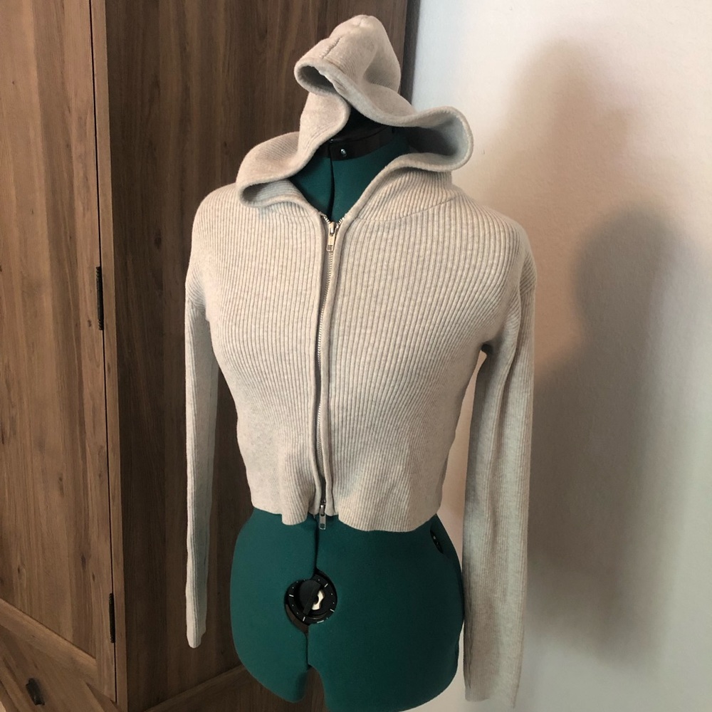 Brandy Melville Arden Cropped Hoodie
